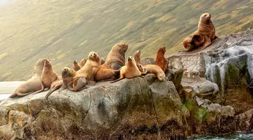 Peru i Boliwia