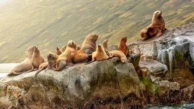 Peru i Boliwia