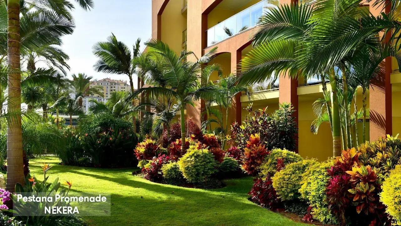 Pestana Promenade