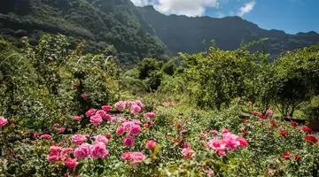 Pestana Quinta do Arco Nature & Rose Garden Hotel