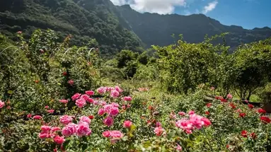 Pestana Quinta do Arco Nature & Rose Garden Hotel
