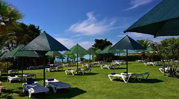 Pestana Viking