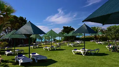Pestana Viking