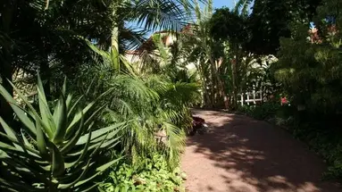Pestana Village Garden Resort