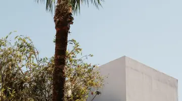 PETRADI BEACH LOUNGE HOTEL