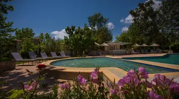 Petrino ECO Village