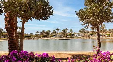 Pharaoh Azur Resort (ex. Sonesta Pharaoh