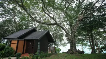 Phi Phi Natural Resort