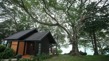 Phi Phi Natural Resort
