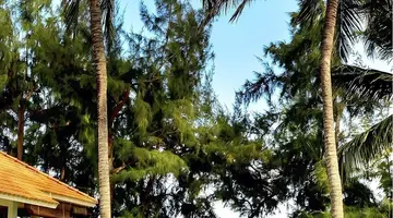 Phu Hai Beach Resort & Spa