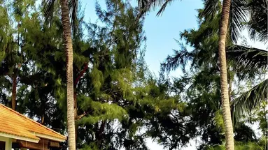 Phu Hai Beach Resort & Spa