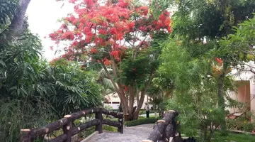 PHU HAI BEACH RESORT & SPA