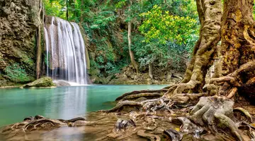Phuket, Bangkok i perły Morza Andamańskiego