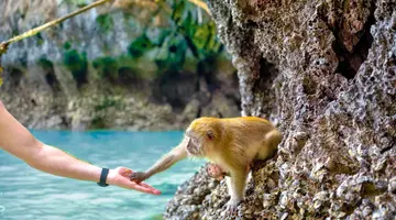 Phuket i nieznane oblicze Tajlandii light