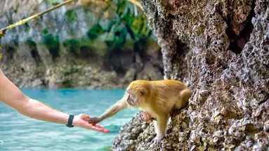 Phuket i nieznane oblicze Tajlandii light