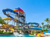 Phuket Orchid Resort & Spa