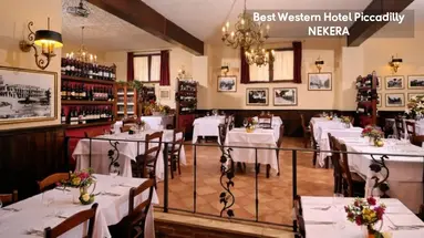 PICCADILLY BEST WESTERN HOTEL
