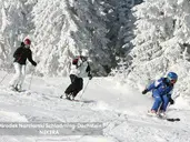 Pichlmayrgut