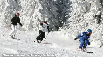 Pichlmayrgut