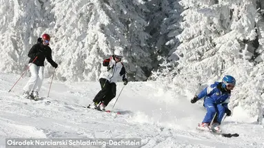 Pichlmayrgut