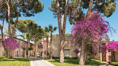 Pine Beach Belek - All Inclusive