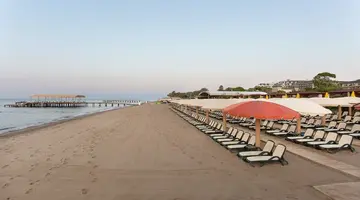 PINE BEACH BELEK