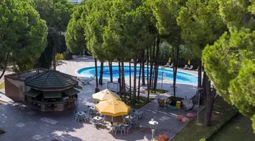 PINE BEACH BELEK