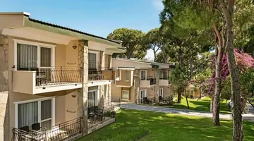 PINE BEACH BELEK