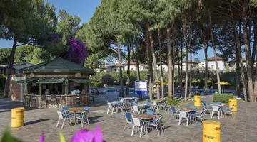 PINE BEACH BELEK