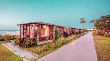 PINE BEACH BELEK