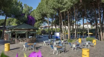PINE BEACH BELEK