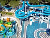 PINE BEACH BELEK