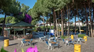 PINE BEACH BELEK