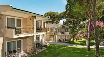 PINE BEACH BELEK