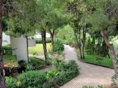 PINETA PETTO BIANCO VILLAGGIO