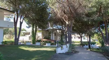 PINETA PETTO BIANCO VILLAGGIO
