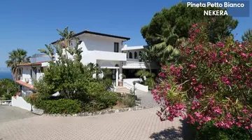 PINETA PETTO BIANCO VILLAGGIO
