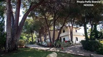 PINETA PETTO BIANCO VILLAGGIO