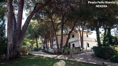 PINETA PETTO BIANCO VILLAGGIO