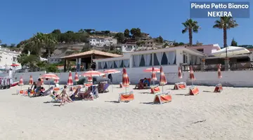 PINETA PETTO BIANCO VILLAGGIO
