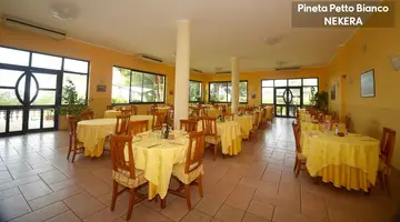 PINETA PETTO BIANCO VILLAGGIO