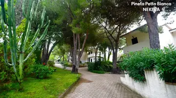 PINETA PETTO BIANCO VILLAGGIO