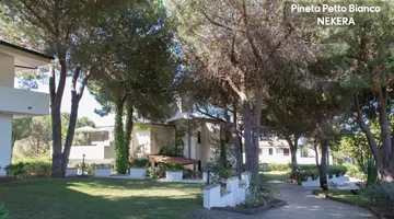 PINETA PETTO BIANCO VILLAGGIO