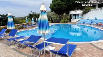 PINETA PETTO BIANCO VILLAGGIO