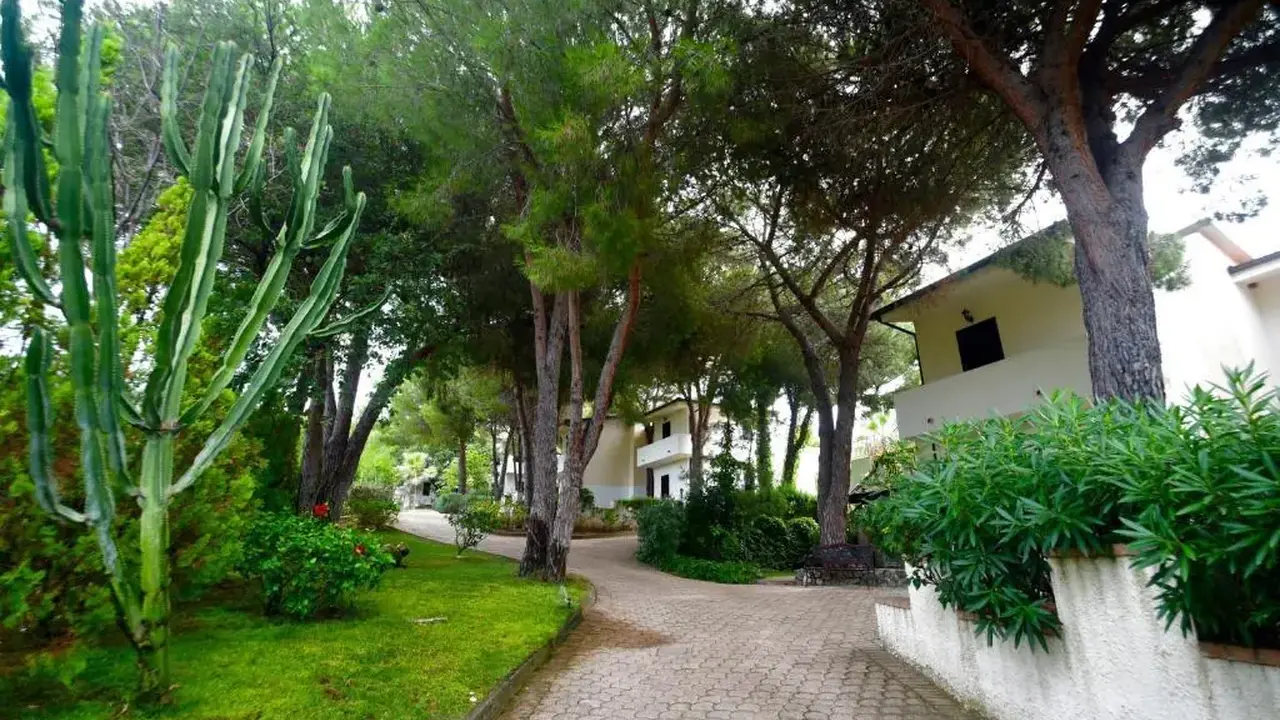 PINETA PETTO BIANCO VILLAGGIO