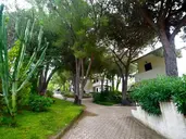 PINETA PETTO BIANCO VILLAGGIO