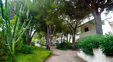 PINETA PETTO BIANCO VILLAGGIO