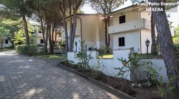 PINETA PETTO BIANCO VILLAGGIO