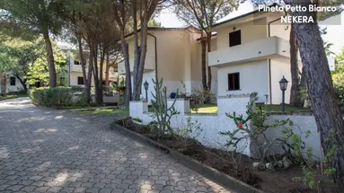 PINETA PETTO BIANCO VILLAGGIO