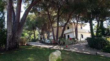 PINETA PETTO BIANCO VILLAGGIO